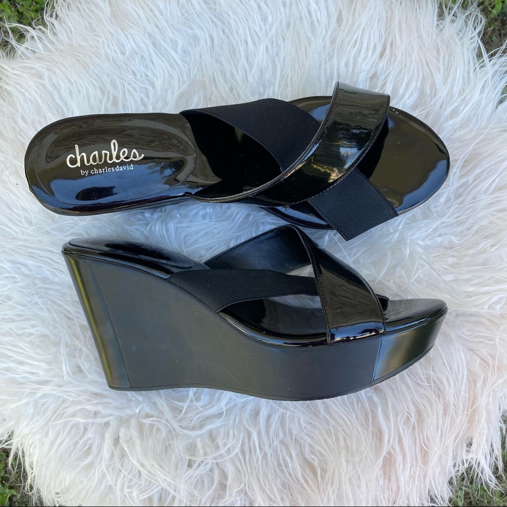 PREVENTCHARLES BY CHARLES DAVID wedge platform sandal size 9